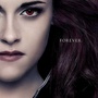 Twilight 4 Révélation partie-2 : une fan décède devant le Comic Con
