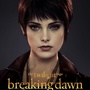 Twilight 4 Révélation partie-2 : 23 characters posters !