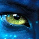 Avatar 2 : le scénario en bonne voie 