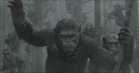 La Planète des singes : Les origines 2 : photo 