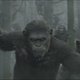 La Planète des singes : Les origines 2 : photo 