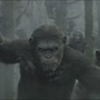 La Planète des singes : Les origines 2 : photo 