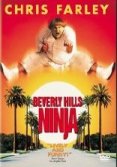 Une suite pour Beverly Hills Ninja