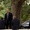 Seconde image de Fast and Furious 7 !