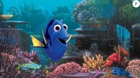 Le monde de Dory (Finding Dory): Le gros poisson n'est pas né mais c'est déjà du tout cuit!