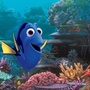 Le monde de Dory (Finding Dory): Le gros poisson n'est pas né mais c'est déjà du tout cuit!