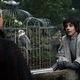  Game of Thrones : Histoires familiales et autres joyeux contes de Westeros ! (S06E04)