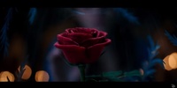 Emma Watson dans le teaser de La Belle et la Bête ! (version française)