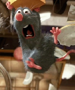 Secret de tournage du film Ratatouille