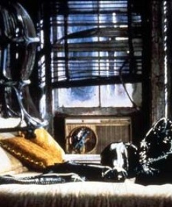 Secret de tournage du film Batman le défi