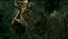 Bande annonce VF