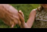 Hors du temps VF du film Hors du temps