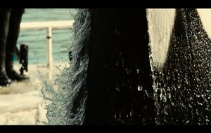 De rouille et d'os  Bande annonce 1 VF