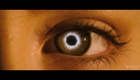 Teaser 1 VO