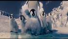 Bande annonce 1 VOST