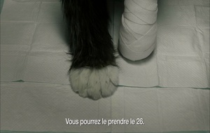 The Future   Bande annonce VOST
