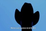 Bande annonce 1 VOST
