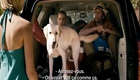Bande annonce 1 VOST