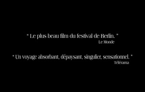 Le cheval de Turin  Bande Annonce VF