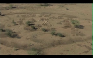 Africa le sang et la beauté  Bande Annonce VF