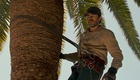 Bande Annonce 1 VO