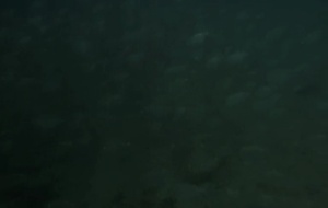 Busong  Bande annonce 1 VO
