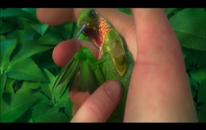 Epic : la bataille du royaume secret   Bande annonce 1 VF