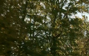 Main dans la main   Bande Annonce 1 VF