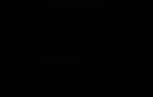 Comme un lion  Bande Annonce 1 VF