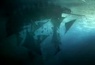 Pirates des caraïbes 3, attention les yeux !