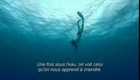 La bande annonce du film Sharkwater