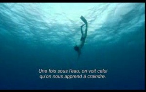 Les seigneurs de la mer  La bande annonce du film Sharkwater