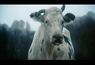 La bande annonce du film Jeux de dupes