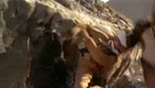 Bande annonce 1 VO