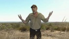 La bande annonce du film Safari