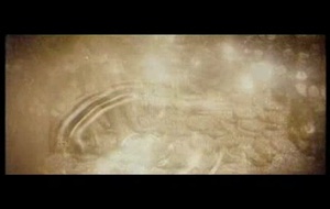 Pirates des Caraïbes : La Malédiction du Black Pearl  Bande annonce 1 VF