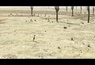 Bande annonce 1 VF