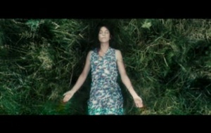 Antichrist  La bande annonce VOST du film Antichrist