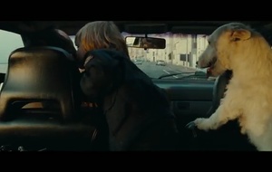 L'Immortel  Teaser 1